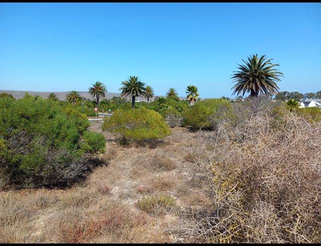 LAND FOR SALE IN SHELLY POINT
